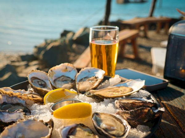 Fresh oysters on ice with a cold beer by the water
