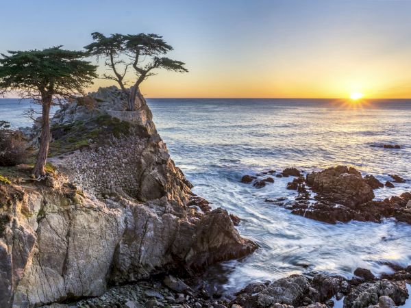 Lone cypress on a rocky cliff above the Pacific at sunset near Carmel